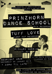 IVW 2015 flyer